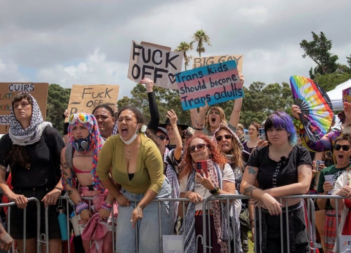 Stage stormed at Auckland’s Big Gay Out amid accusations of “right‑wing, transphobic, racist and genocide enabling” politics