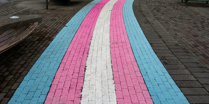 Doctor who praised JK Rowling removed from puberty‑blocker review amid fears over anti‑trans bias