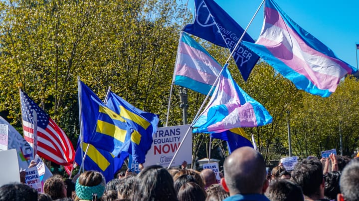 Majority of Americans back trans equality, new survey finds