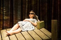 THE AMERICAN PLAN: St James Theatre, London: Review