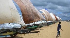 Spice and everything that’s nice. That’s what Sri Lanka is made of : By Alan Stables