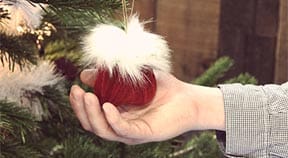 Albion’s awareness bauballs for testicular cancer