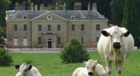 Master plans for future of Stanmer Park