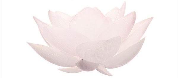 Free Mindfulness Course at MindOut