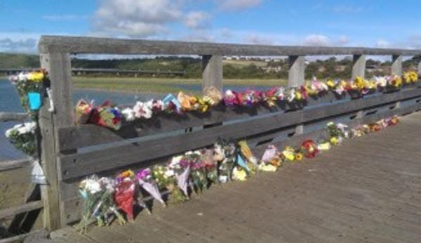 Shoreham Air Show Fund