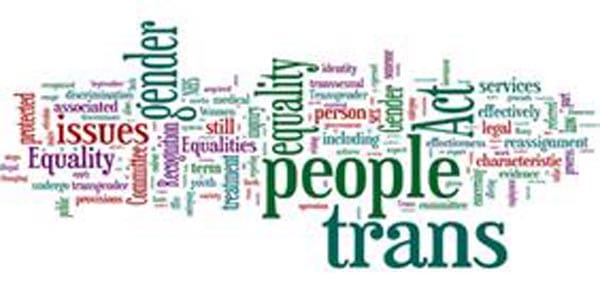 Equality groups welcome Government’s trans report