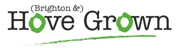 Hove Grown festival steps into the spotlight