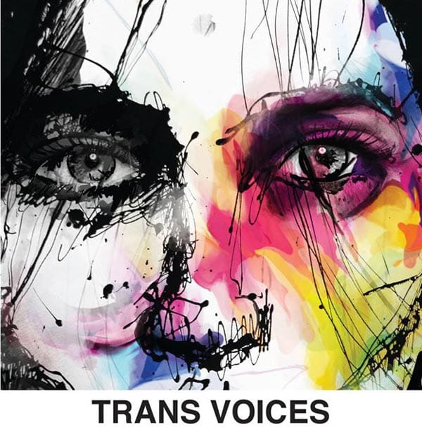 PREVIEW: Trans Voices – Becoming Who You Are by Declan Henry