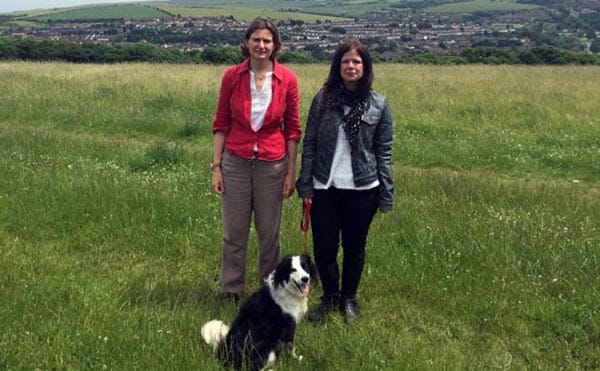 Council update dog walker scheme