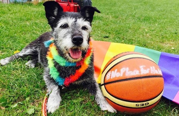 BRIGHTON PRIDE is proud to help make Sussex #NoPlaceForHate