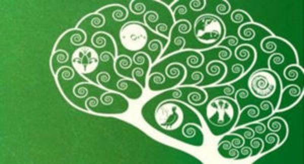 REVIEW: Early Music Festival: KIRCHER: Music, science and natural magic