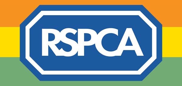 RSPCA launches LGBT t-shirts for ‘biggest ever’ Pride Cymru presence