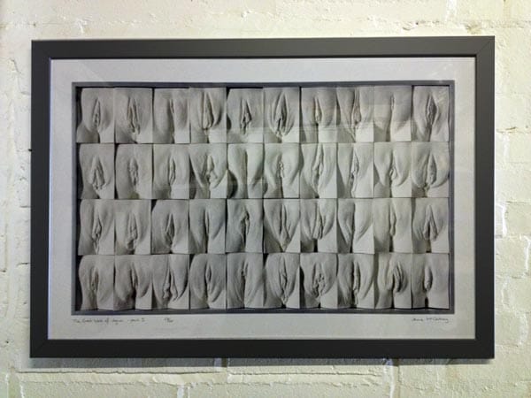 Vagina print donated to Claude Nichol Sexual Health Clinic