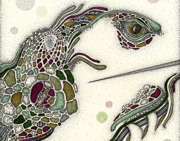 MUSIC REVIEW: Luka Sambe + Filter Bear