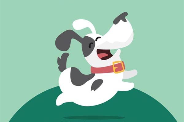 Pride Dog Show returns to Preston Park again this year