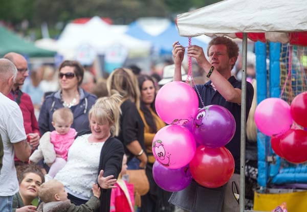 Stallholders wanted for Hove Park Carnival