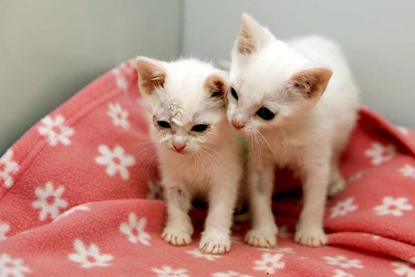 Employers continue to break employment law