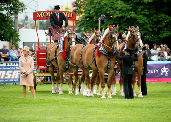 COMPETITION: Win a pair of tickets to the South of England Show