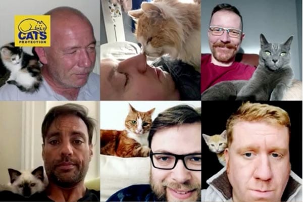 Cats Protection calls all men to show their affinity with kitties