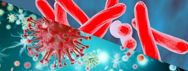 Unique gathering of TB and HIV experts meet in Holland today