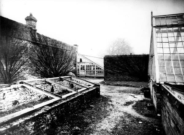 Help explore history of Stanmer Park