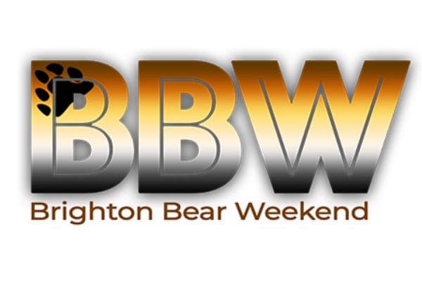 Mr Virtual Brighton Bear 2020 Competition announced