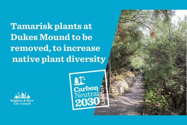 ‘The Bushes’ to get a facelift