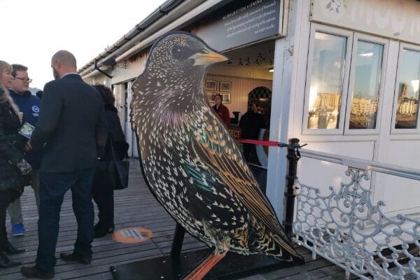 Starlings’ Roost Cafe grand opening on Brighton Pier