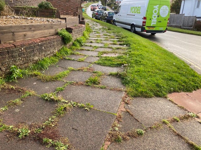 Weed growth “a big problem for the city”. Brighton & Hove City Council announces its “new approach” to tackling overgrown and dangerous weeds