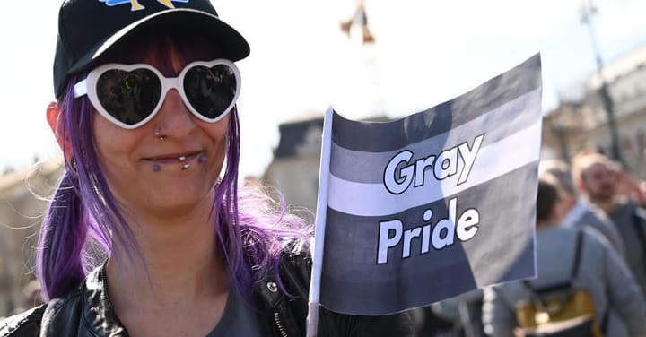 Grey Pride: Budapest turns grey as drably dressed protesters mock Hungary’s Pride ban law