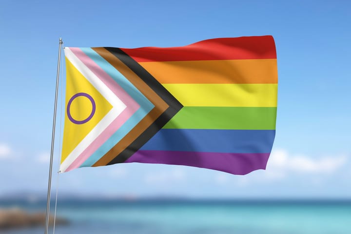 Reform UK vows to ban Pride and Trans Flags from council buildings it controls