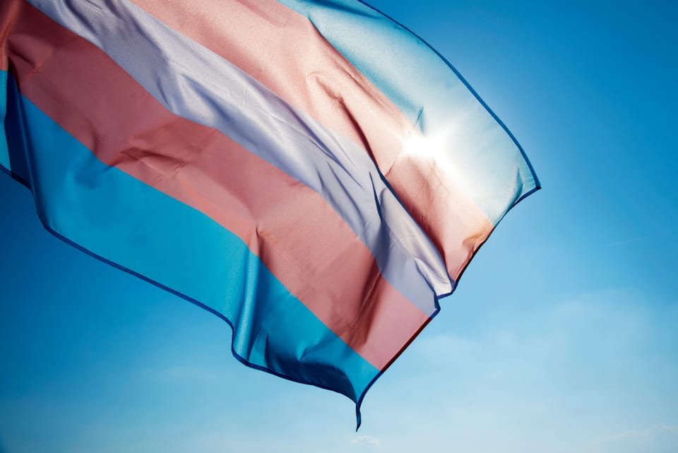 Gender-critical detective loses tribunal case against Met Police over Trans Rights event