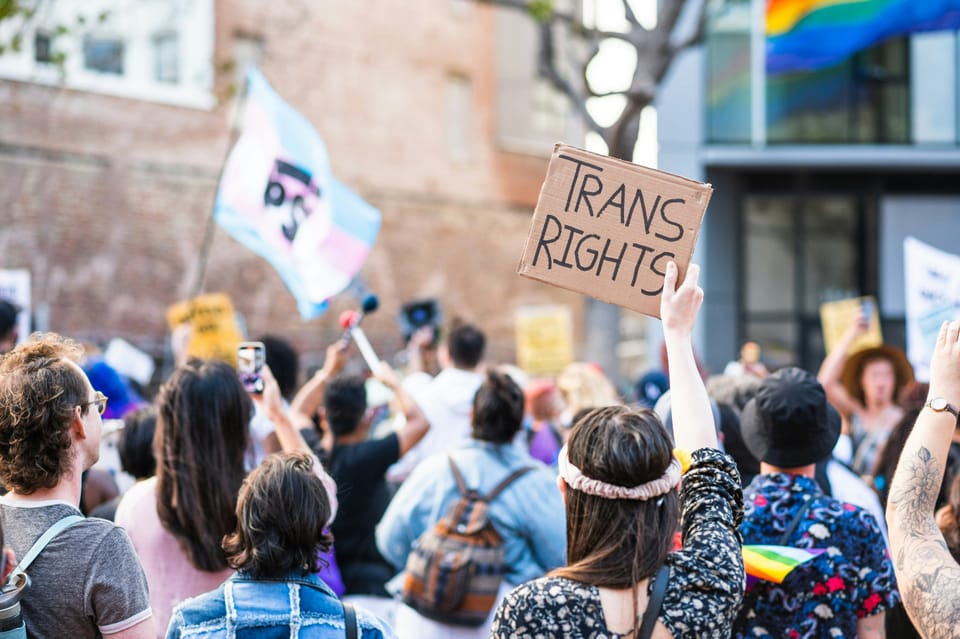 Brighton & Hove Green Party condemns "anti-immigration and anti-trans" social media posts by Labour's Queens Park by-election candidate