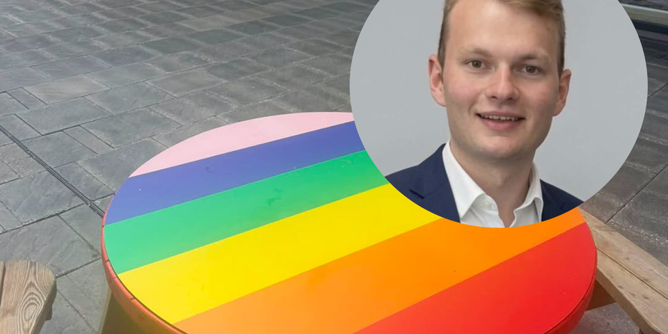 Restore Britain councillor 'triggered' by rainbow picnic table