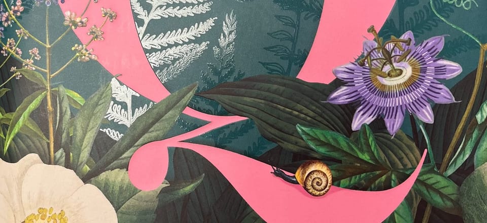Unearthing Stories of Queer Cultivation: 'Q is for Garden' by Jenny Chamarette