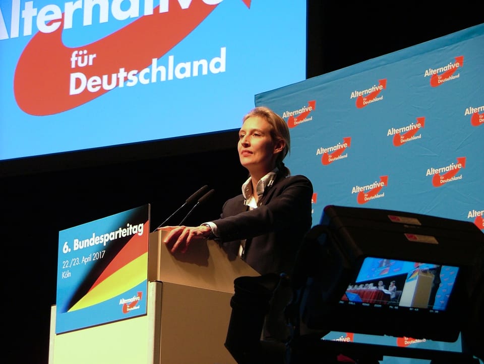 Lesbian AfD leader Alice Weidel celebrates election win as concerns grow over party's LGBTQ+ policies