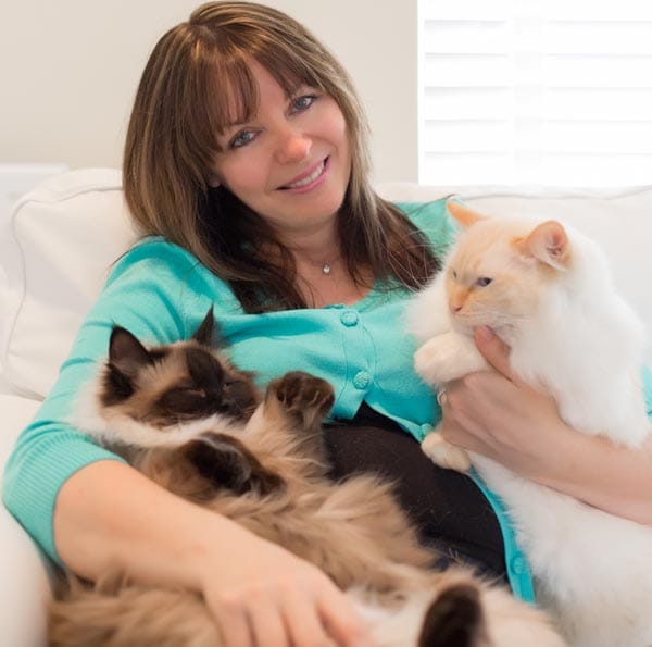 Pussy Pampering in West Sussex