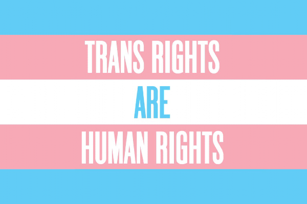 New research reveals employment & wage gap for trans people in US