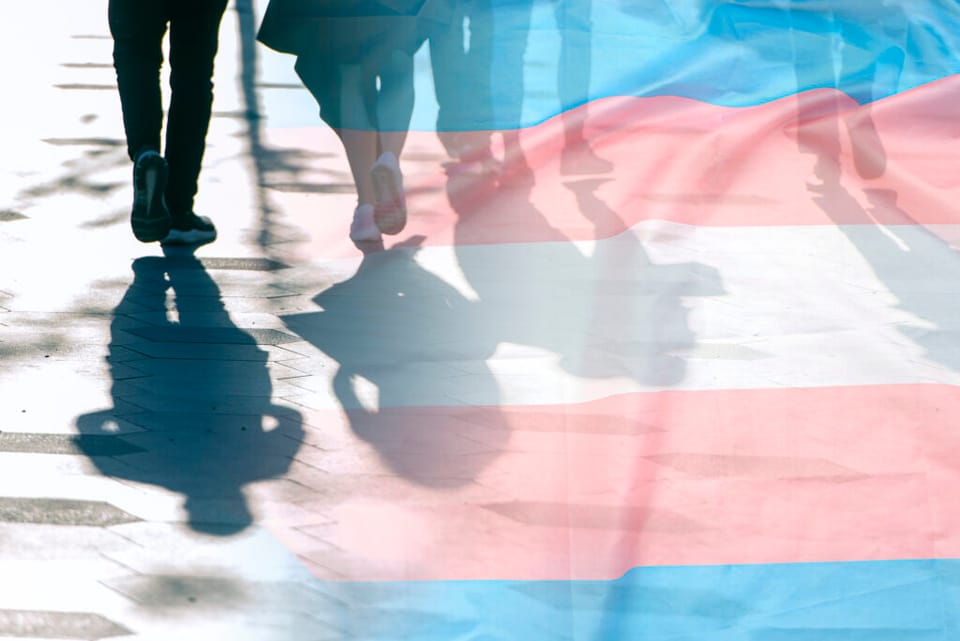 Brighton & Hove City Council raises concerns on government’s draft school and colleges guidance for gender questioning children