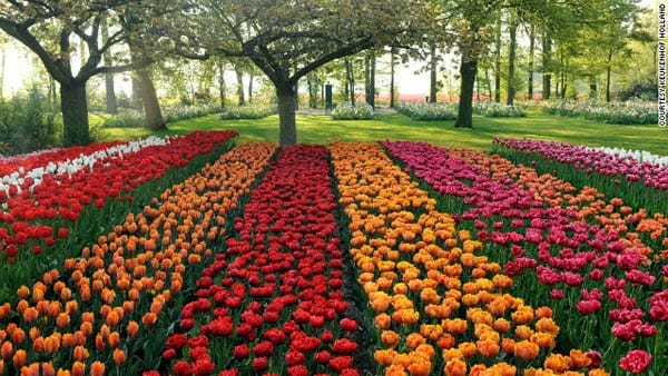 Keukenhof