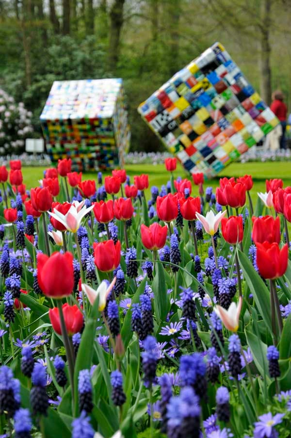 Keukenhof