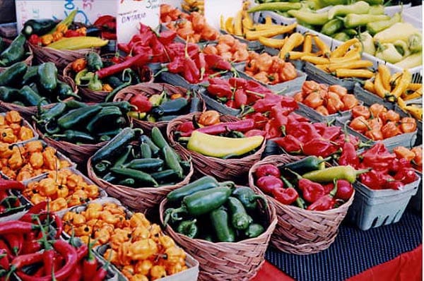 Farmer Market Brighton & Hove