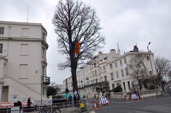 Seven Dials tree Protest