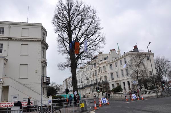 Seven Dials tree