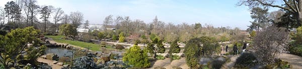 Wisley