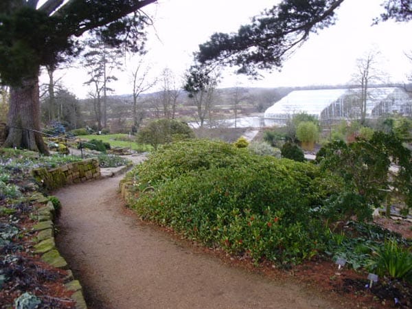 Wisley