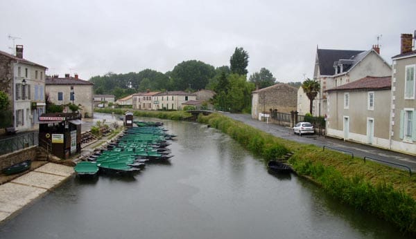 Coulon