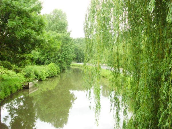 River Sevres