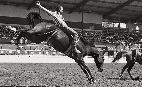 Gay Rodeo