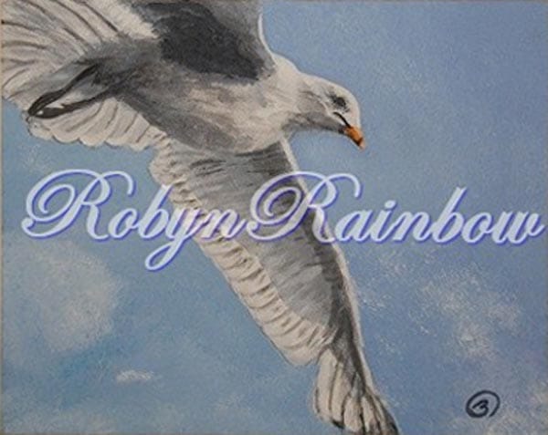 Robyn Rainbow